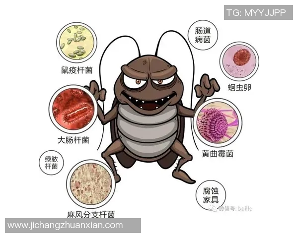 体育锻炼对哮喘的影响及其作为辅助治疗的潜力探讨