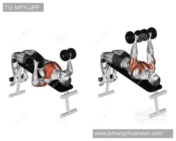 女人如何使用哑铃有效锻炼胸肌提升身材曲线的技巧与方法